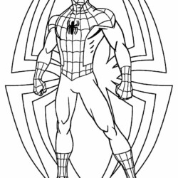 Desenhos Para Pintar e Colorir Homem Aranha - Imprimir Desenho 011