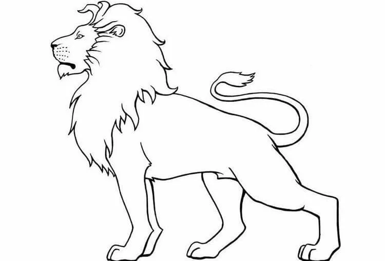 Leão