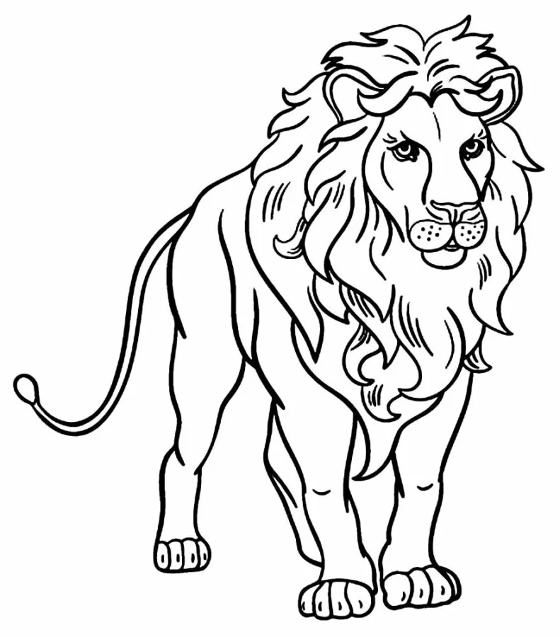 Leão