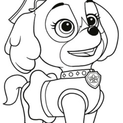 Patrulha Canina Desenhos para Colorir