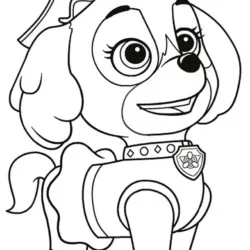 Patrulha Canina para imprimir e colorir