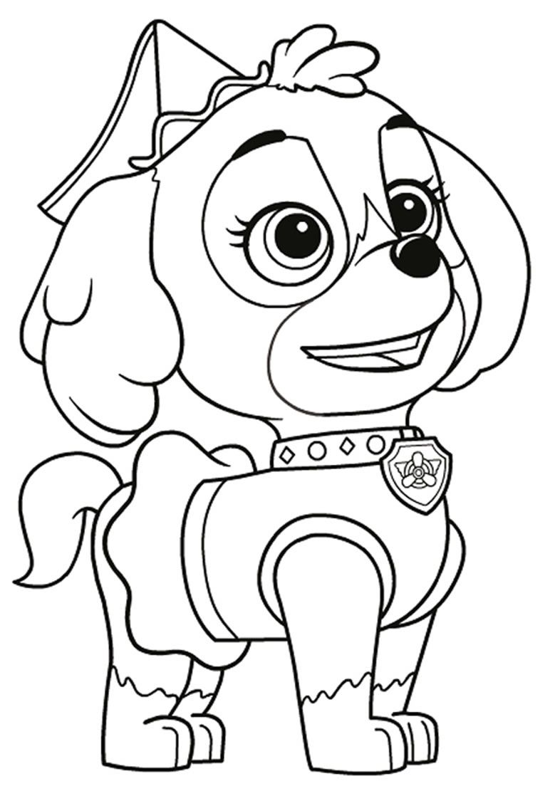 patrulha canina para colorir