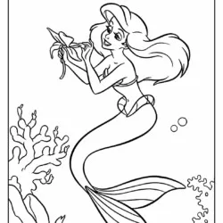 Ariel para imprimir e colorir