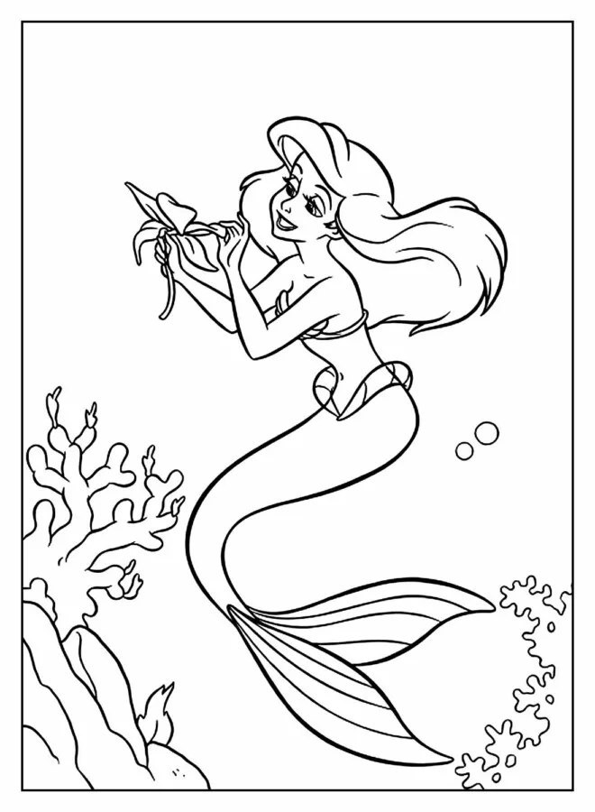 Ariel