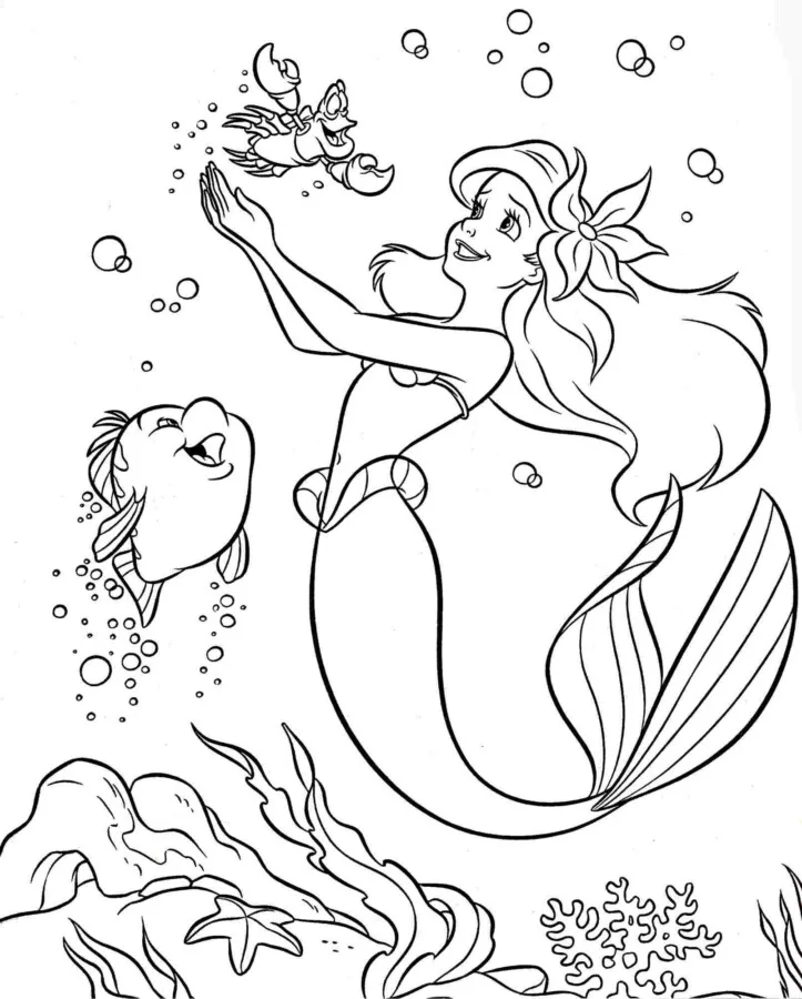 Ariel