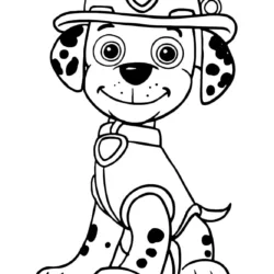 Cachorros para imprimir e colorir