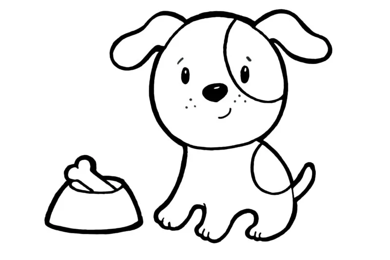 Cachorros
