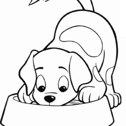 Desenho de Cachorro fofinho para colorir  Desenhos para colorir e imprimir  gratis