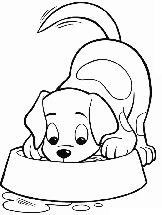Cachorros