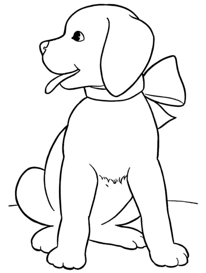 Cachorros