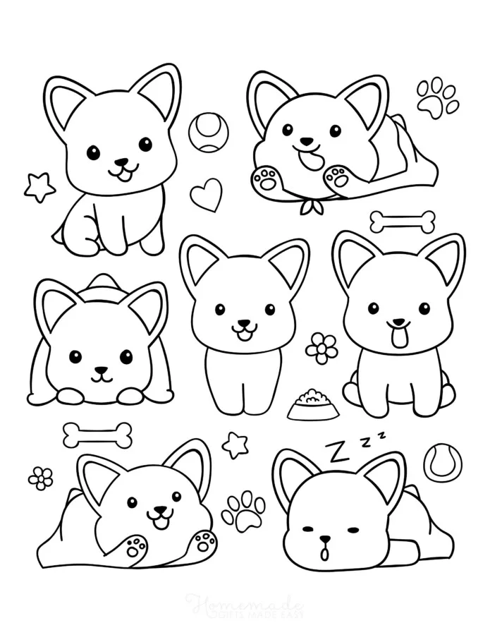 Cachorros