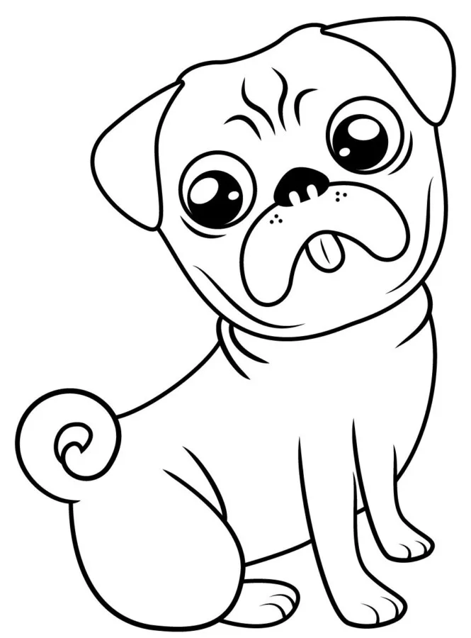 Cachorros