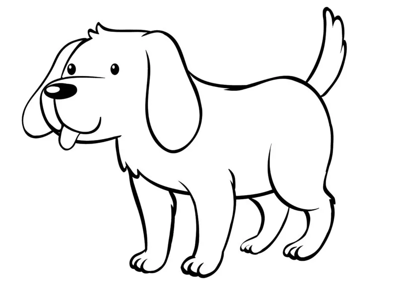 Cachorros