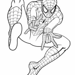 Homem Aranha para imprimir e colorir