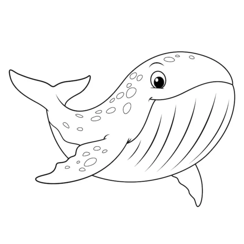 Baleia