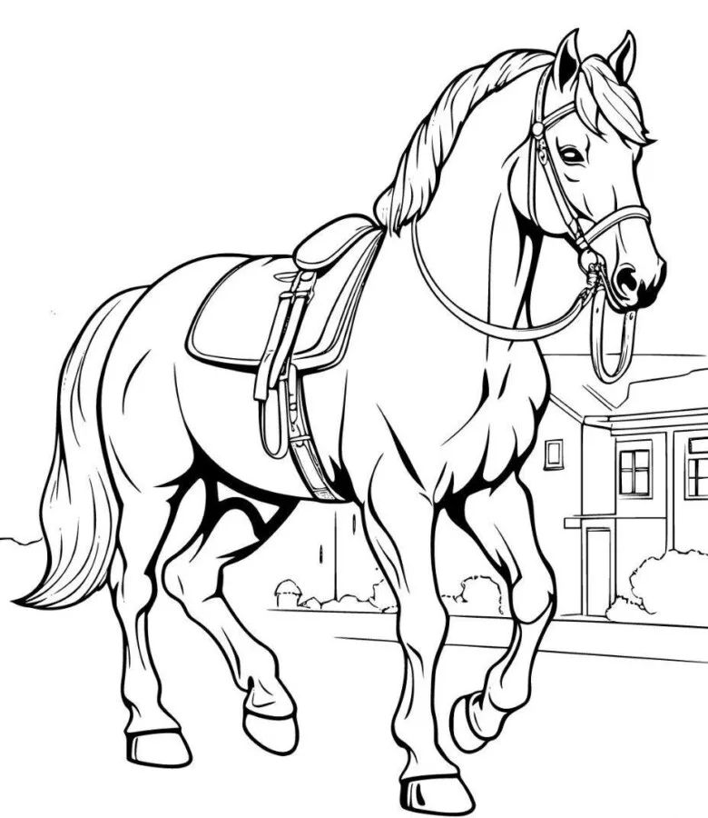 Cavalo