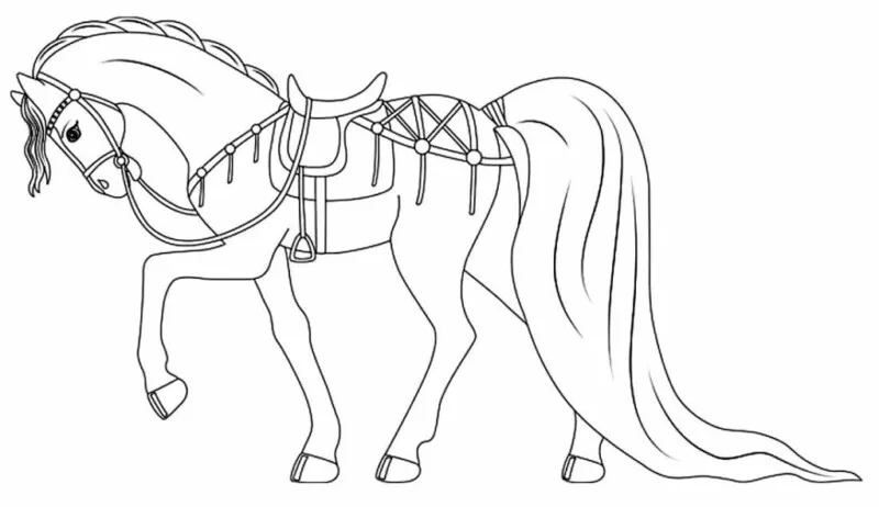 Cavalo