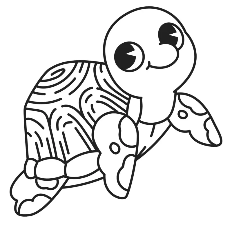Tartaruga