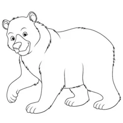 desenho de Ursos