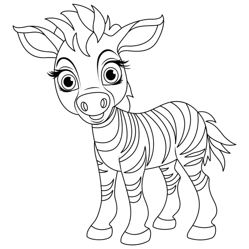 Zebra