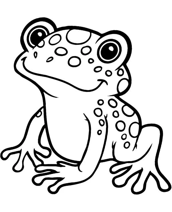 Sapo