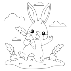Coelhos