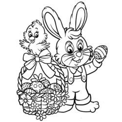 Coelhos