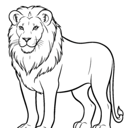 Leões