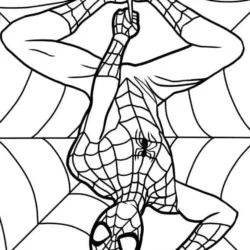 Homem aranha para imprimir e colorir