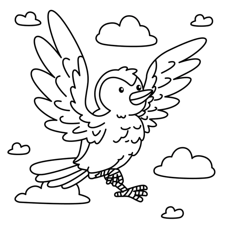 Passaro
