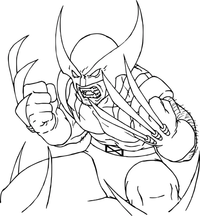 Wolverine