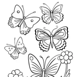 Borboletas para imprimir e colorir