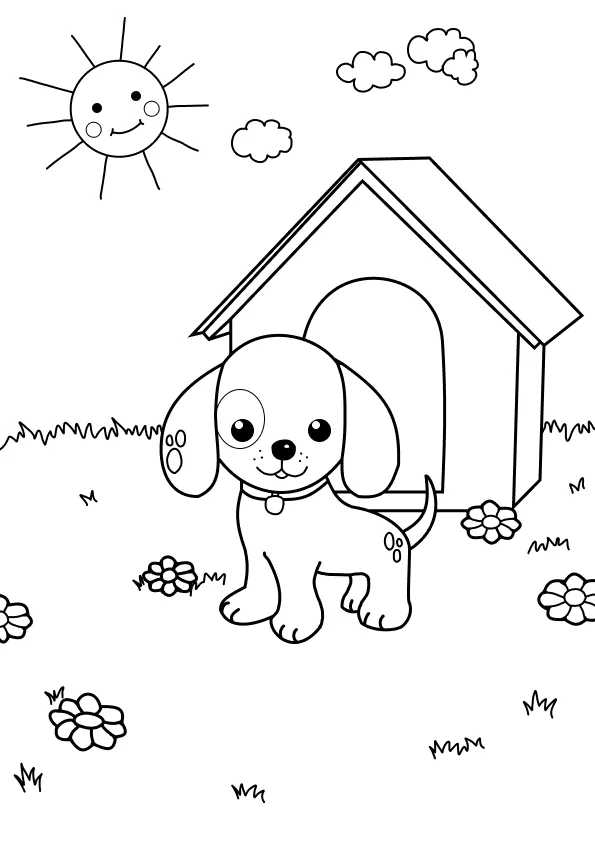 Cachorros