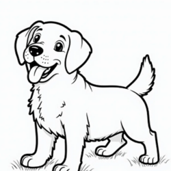 Cachorros