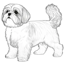 Cachorros para imprimir e colorir