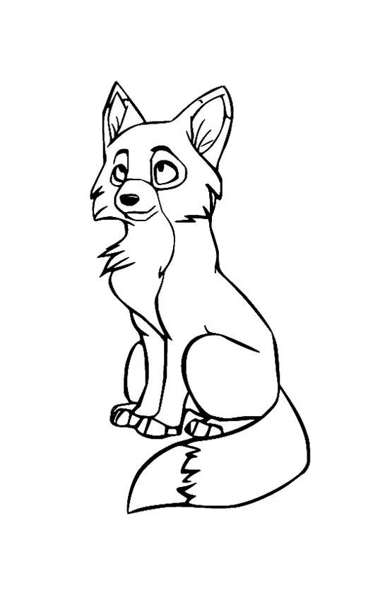 Raposa