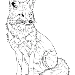 Raposa para imprimir e colorir
