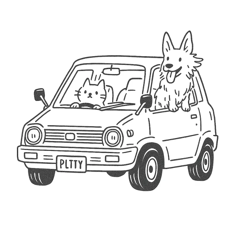 Carros