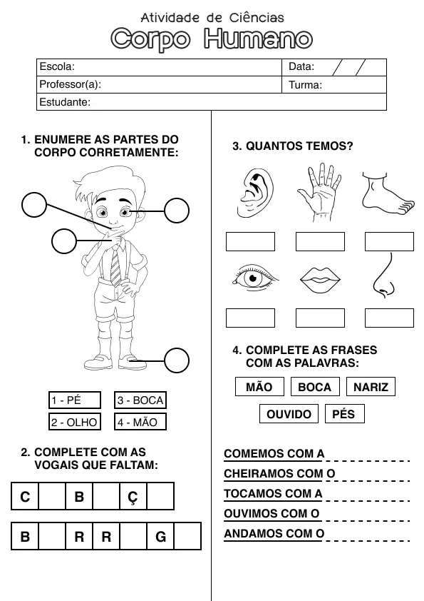 Atividade de alfabetização sobre corpo humano