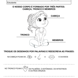 Alfabetização