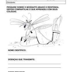 Alfabetização