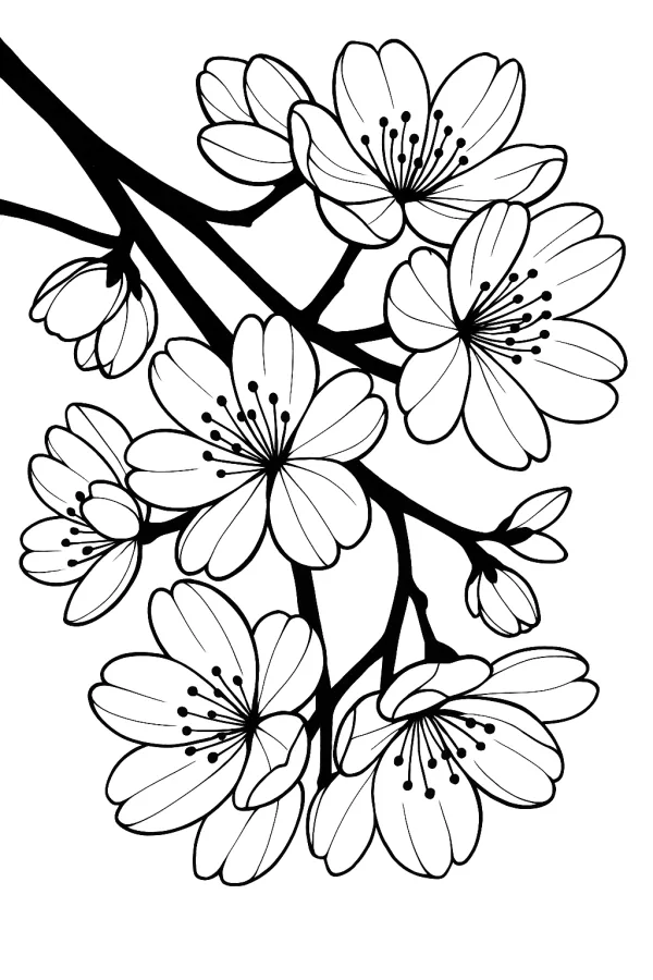 Flores
