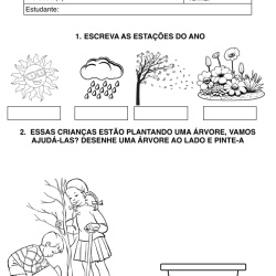 Alfabetização