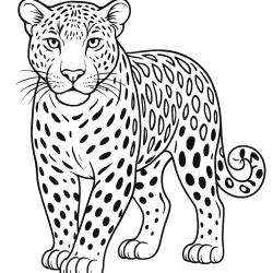 Onça