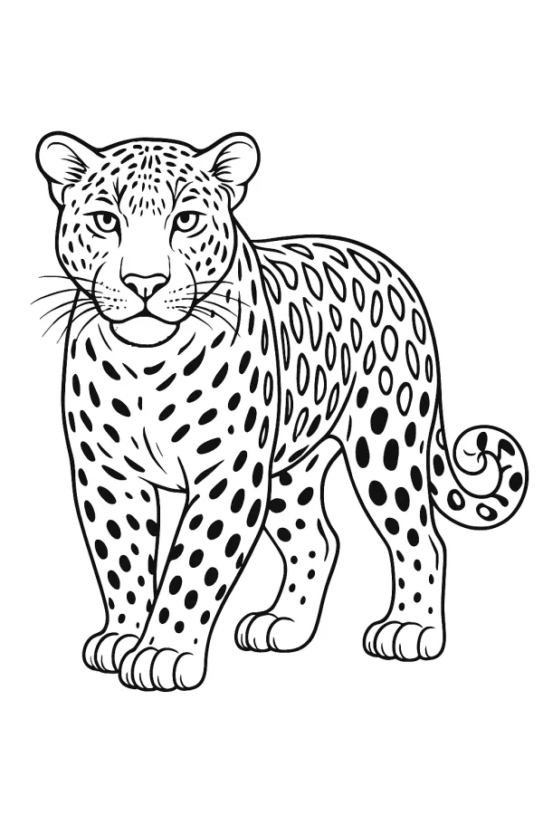 Onça