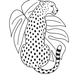 Onça