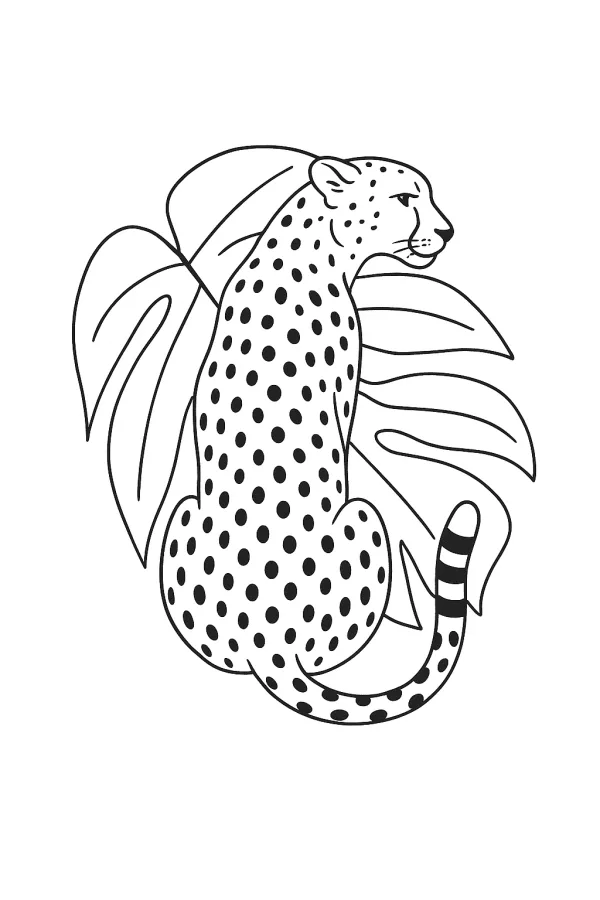 Onça