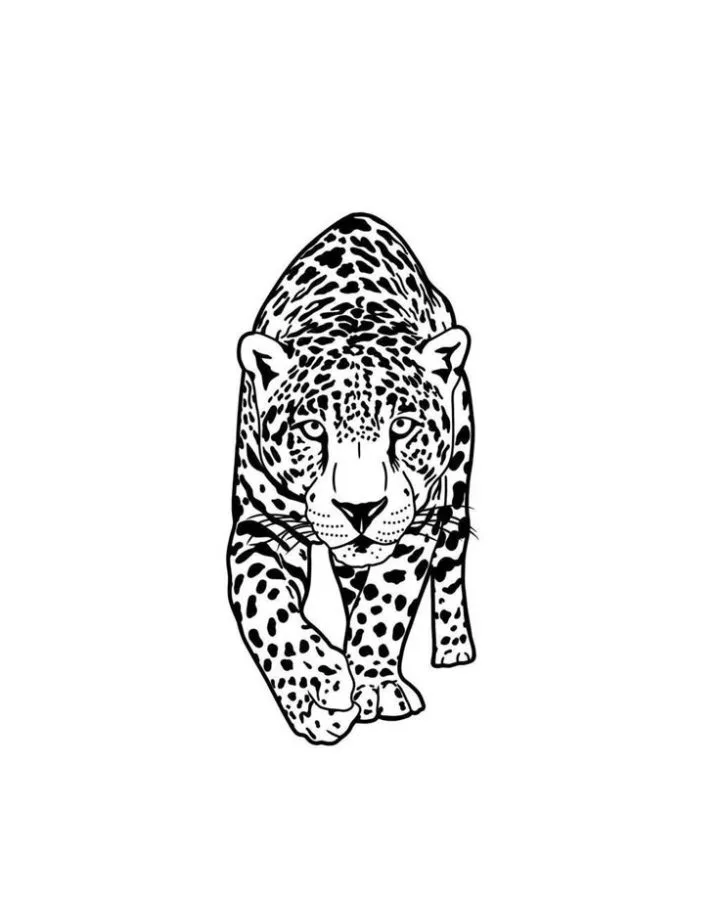 Onça