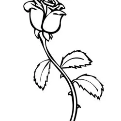 Rosa para imprimir e colorir