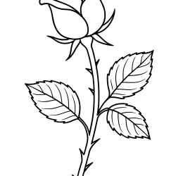 Rosa para imprimir e colorir